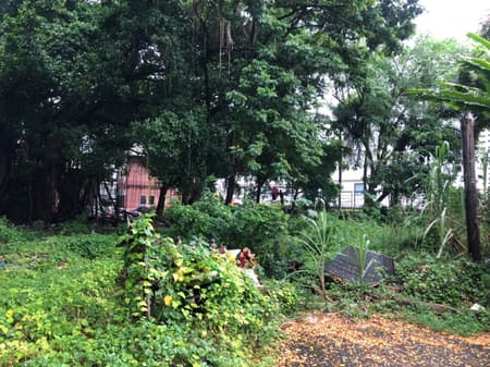 Suan San Pocket Park